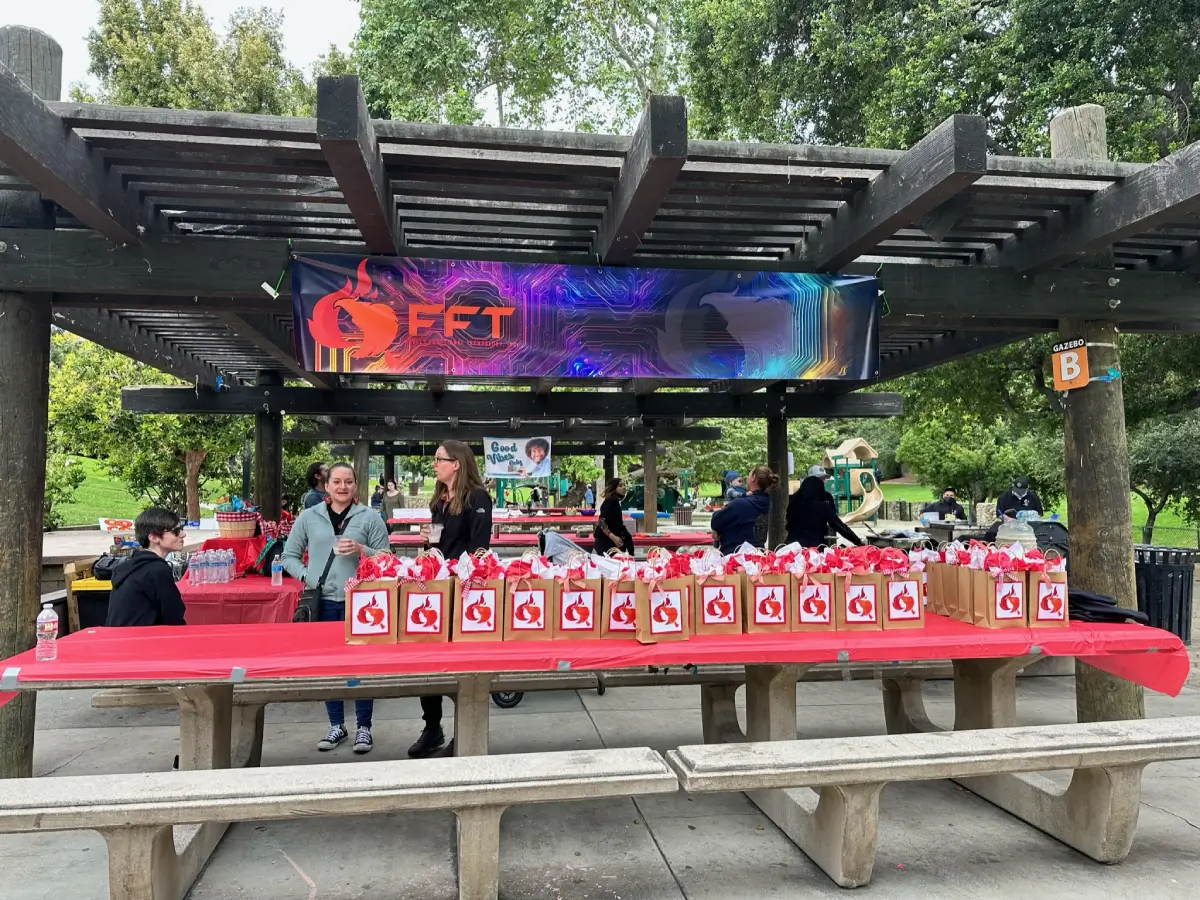 FFT Picnic